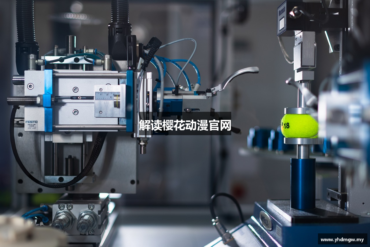 解读樱花动漫官网